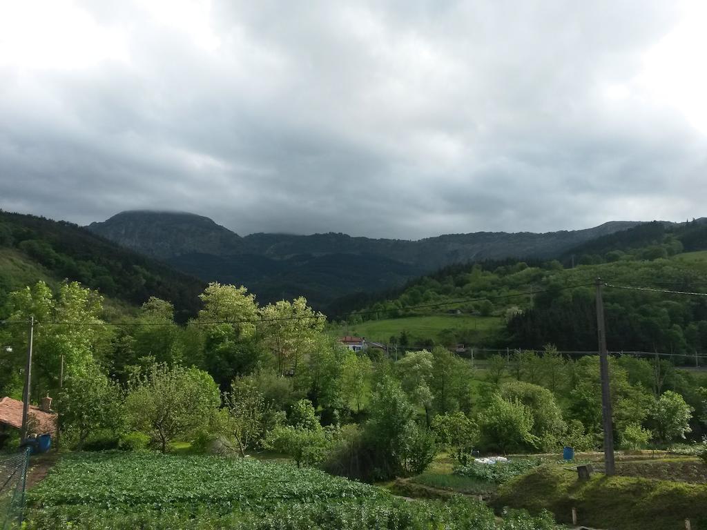 Pension Bide-Ondo Аморебьета-Эчано Экстерьер фото
